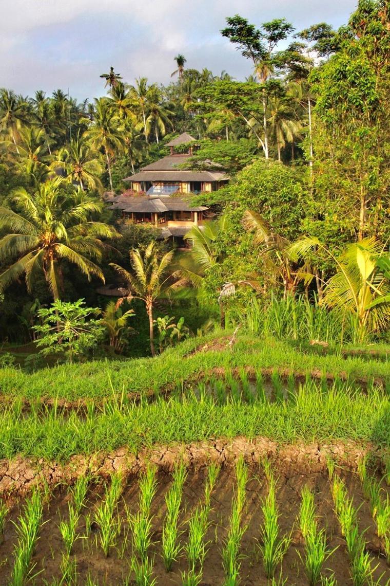Lumina Residences And Wellness Sanctuary Ubud Exteriör bild